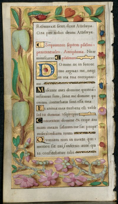 Hoja de un Libro de Horas: Salmos Penitenciales, c. 1530-1535 de Noel Bellemare