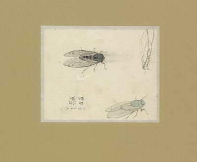 Tres estudios sobre el vuelo de Nonoyama Kozan (possibly)