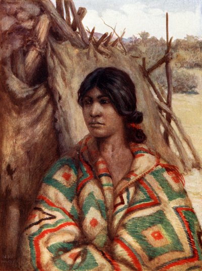 Una Mujer Navajo de Norman Hardy