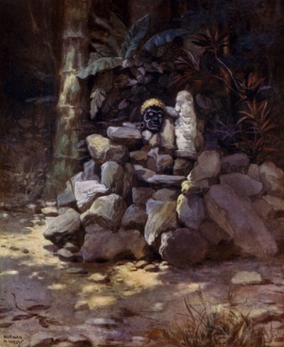 Un santuario o tumba de un jefe en Simbo, Islas Salomón de Norman Hardy
