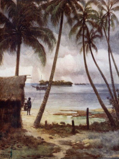 Un Día Tormentoso en la Laguna Rubiana, Islas Salomón de Norman Hardy