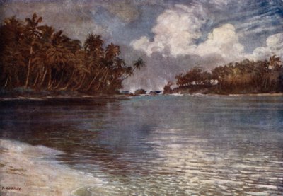 Por arrecife y palma de Norman Hardy