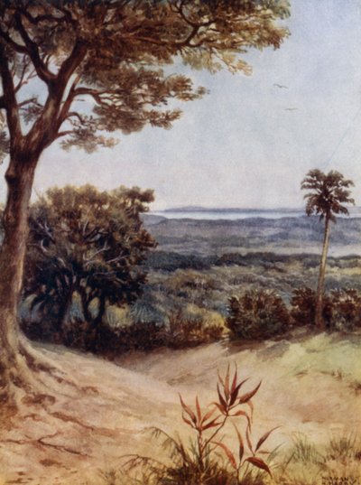 Puerto de Havannah, Rathmoy, Nuevas Hébridas de Norman Hardy