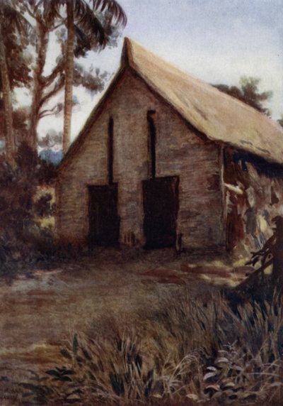 Casa de la Canoe de Guerra de Viejo Ingova, Laguna Rubiana, Nueva Georgia, Islas Salomón de Norman Hardy