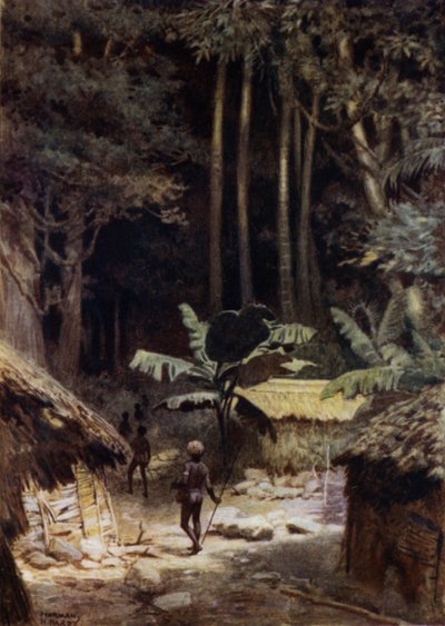 En el borde de un bosque primitivo, Islas Salomón de Norman Hardy