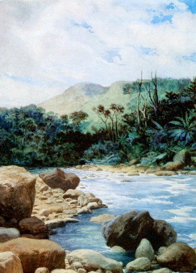 Paisaje en Eromanga, Nuevas Hébridas, 1908 de Norman Hardy