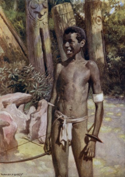 El Guía del Artista en Malekula, Nuevas Hébridas de Norman Hardy