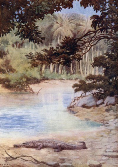 El hogar del cocodrilo, Islas Salomón Británicas de Norman Hardy