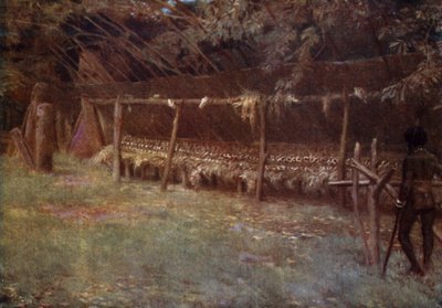 El terreno "M