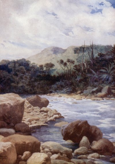 Los rápidos, río Williams, isla de Eromanga, Nuevas Hébridas de Norman Hardy