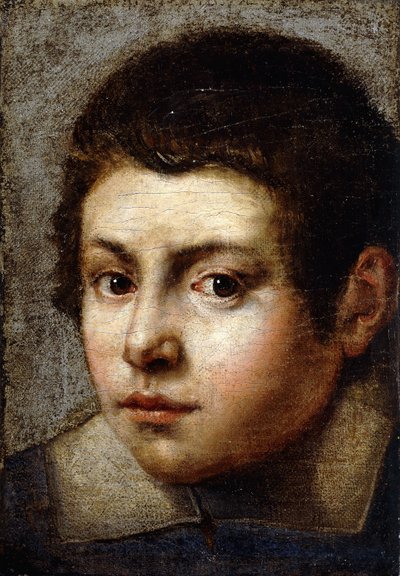 Cabeza de un niño de Northern Italian School
