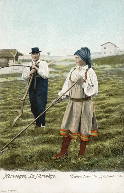 Grupo de campesinos, Setesdal, Noruega de Norwegian Photographer