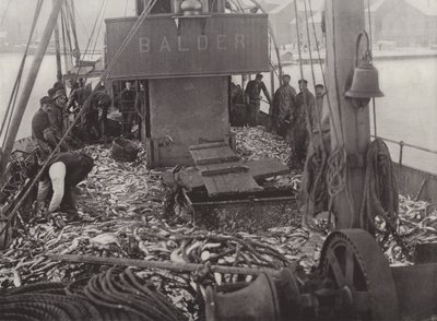 Pesca de arenque en invierno de Norwegian Photographer
