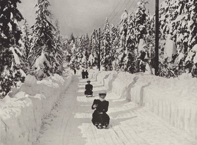Deporte de invierno cerca de Kristiania de Norwegian Photographer