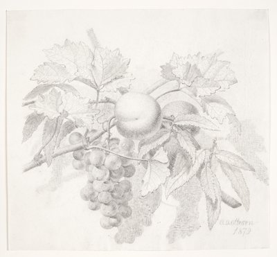 Uvas y melocotones de O.D. Ottesen