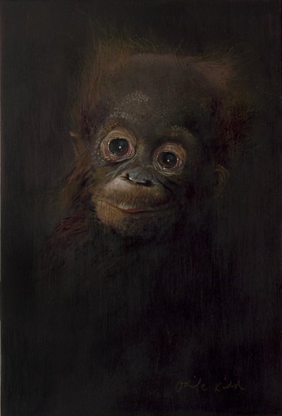 Bebé orangután 1, 2009 (acrílico sobre madera) de Odile Kidd