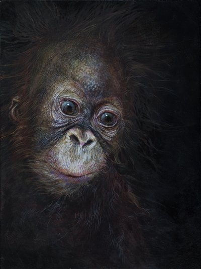 Bebé orangután 3, 2015 (acrílico sobre madera) de Odile Kidd