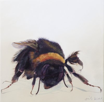 Bombus terrestris 9, 2013 (acrílico sobre madera) de Odile Kidd