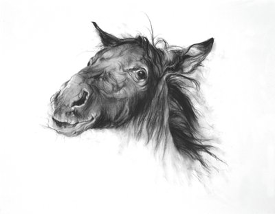 Colt, 2002 (carboncillo sobre papel Fabriano) de Odile Kidd