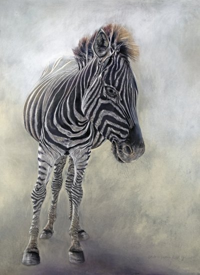 Equus burchelli 1, 2009 (carboncillo, conte y pastel a la tiza sobre papel Bockingford) de Odile Kidd
