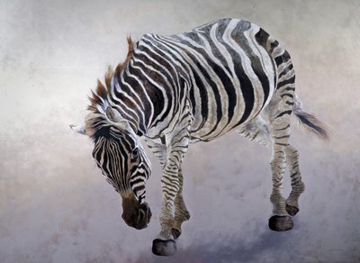 Equus burchelli 2, 2010 (acrílico sobre lienzo) de Odile Kidd
