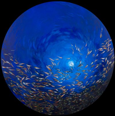 Pez de cristal 2, 2009 (acrílico sobre lino y madera) de Odile Kidd