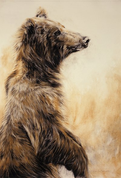 Grizzly Bear 2, 2002 (lápiz carbón, carboncillo y tiza) de Odile Kidd
