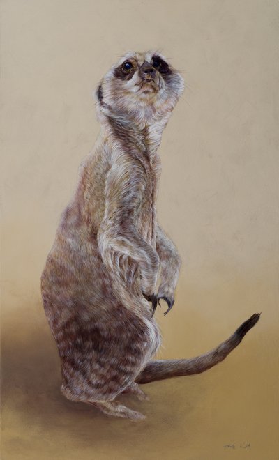 Suricata 2, 2010 (acrílico sobre madera) de Odile Kidd