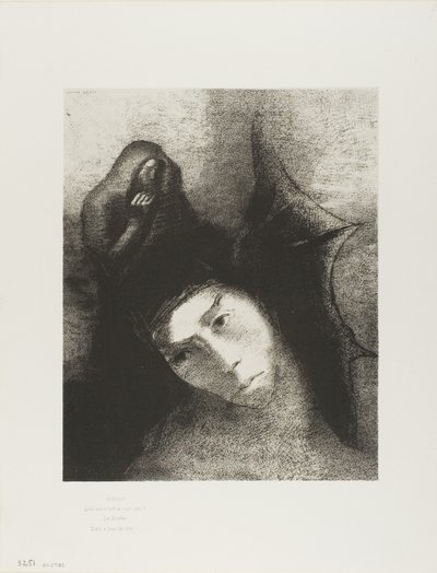 Antonio: "¿Cuál es el objetivo de todo esto?" El Diablo: "¡No hay objetivo!", lámina 18 de 24 de Odilon Redon