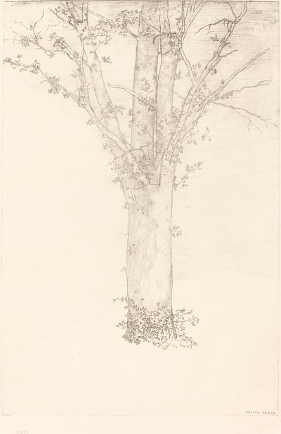 Árbol de Odilon Redon