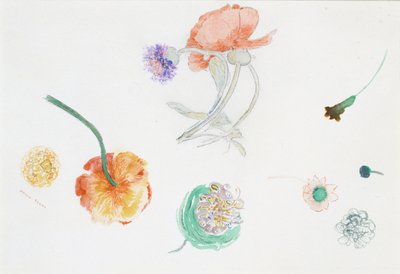  de Odilon Redon