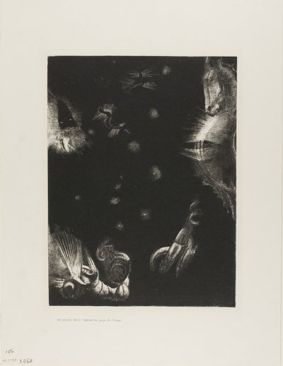 Diferentes Pueblos Habitan los Países del Océano, lámina 23 de 24 de Odilon Redon