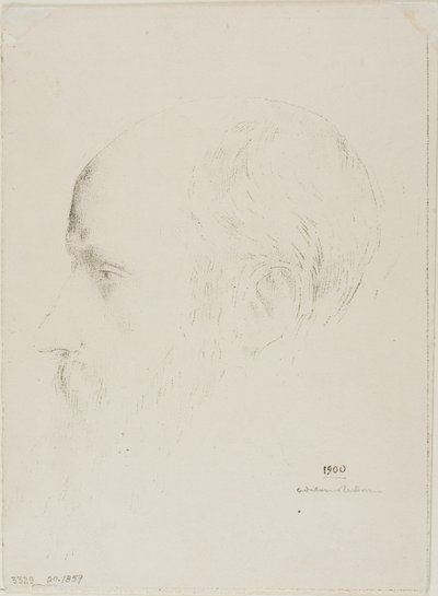 Edouard Vuillard de Odilon Redon