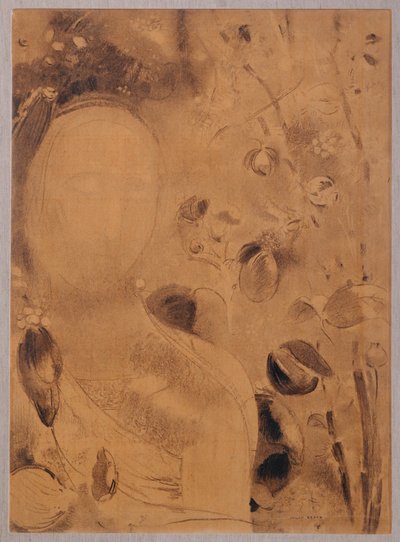 Flores y rostro (carboncillo sobre papel) de Odilon Redon
