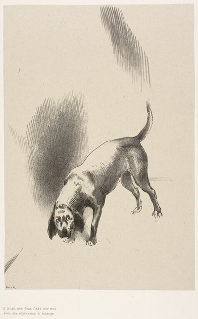 Él [el perro del narrador] mantenía sus ojos fijos en mí con una mirada tan extraña, lámina 3 de 6 de Odilon Redon