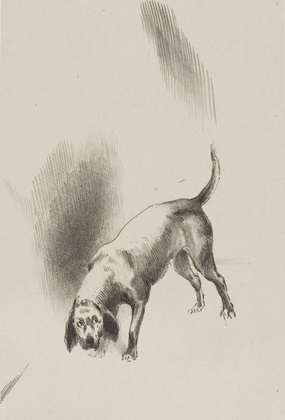 Él [el perro del narrador] mantenía sus ojos fijos en mí con una mirada tan extraña, lámina 3 de 6 de Odilon Redon