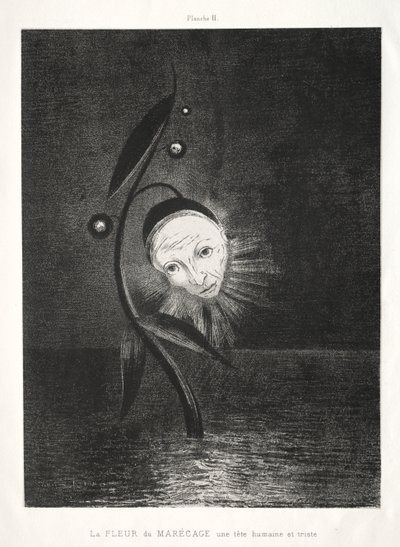 Homenaje a Goya: La flor del pantano, una cabeza humana triste, 1885 de Odilon Redon