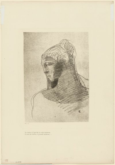 Te adoro como adoro la bóveda del cielo nocturno, oh vaso de tristeza, oh mujer alta y silenciosa, placa 2 de 9 de Odilon Redon