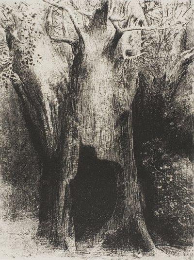 Me sumergí en la soledad. Viví en el árbol detrás de mí, lámina 9 de 24 de Odilon Redon