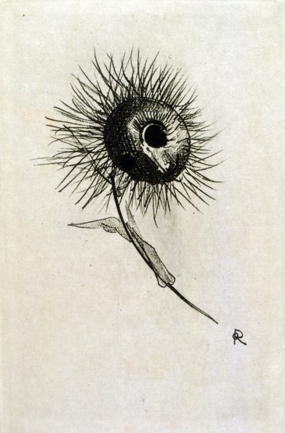 Ilustración para 