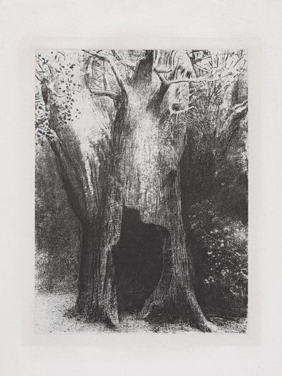Me hundí en la soledad de Odilon Redon