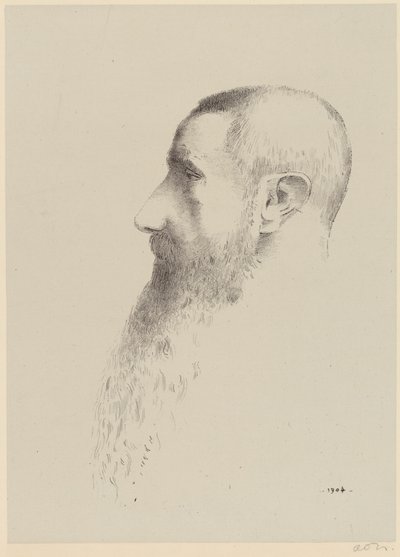 Roger Marx de Odilon Redon