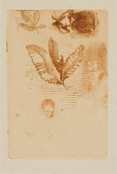Bocetos de Odilon Redon