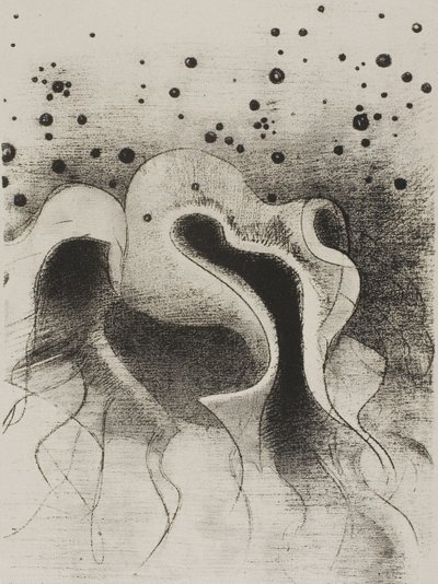 Las bestias del mar, redondas como odres de cuero, lámina 22 de 24 de Odilon Redon