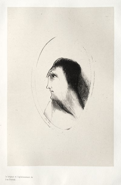 The Breadth and Flatness of the Frontal Bone de Odilon Redon