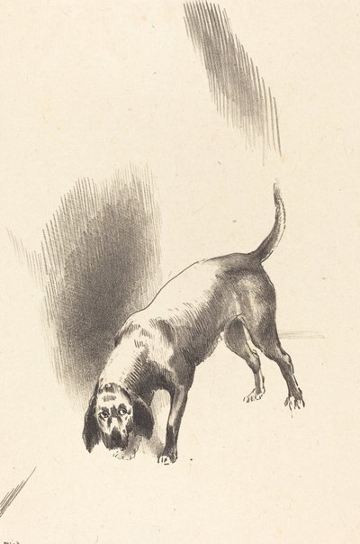 El perro de Odilon Redon