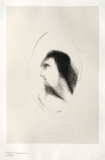 La Casa Embrujada: La Anchura y Planitud del Hueso Frontal, 1896 de Odilon Redon