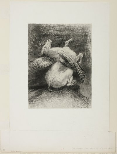 El ala impotente no levantó al animal en ese espacio negro, lámina 7 de 8 de "Les Origines" de Odilon Redon