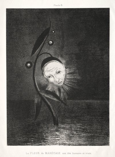 La flor del pantano, una cabeza humana triste de Odilon Redon