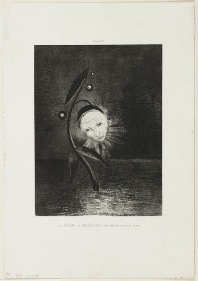 La flor del pantano, una cabeza humana triste, lámina 2 de 6 de Odilon Redon